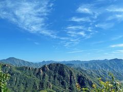 -大岭沟猕猴桃谷风景区