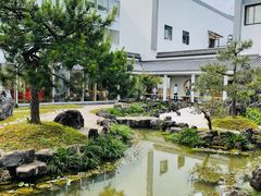 -东方艺术博物馆