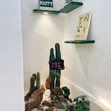 在厦门！！！来中山路必吃手工制作的烧仙草 