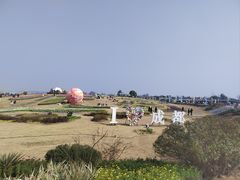 -空港花田景区