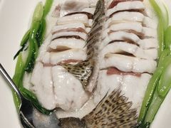 特色蒸鲑鱼-古南都·老广东酒楼(龙江店)