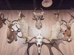 -陕西自然博物馆