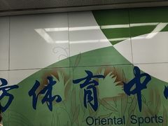 -东方体育中心(地铁站)