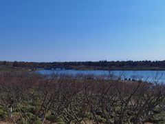 -上海海湾国家森林公园