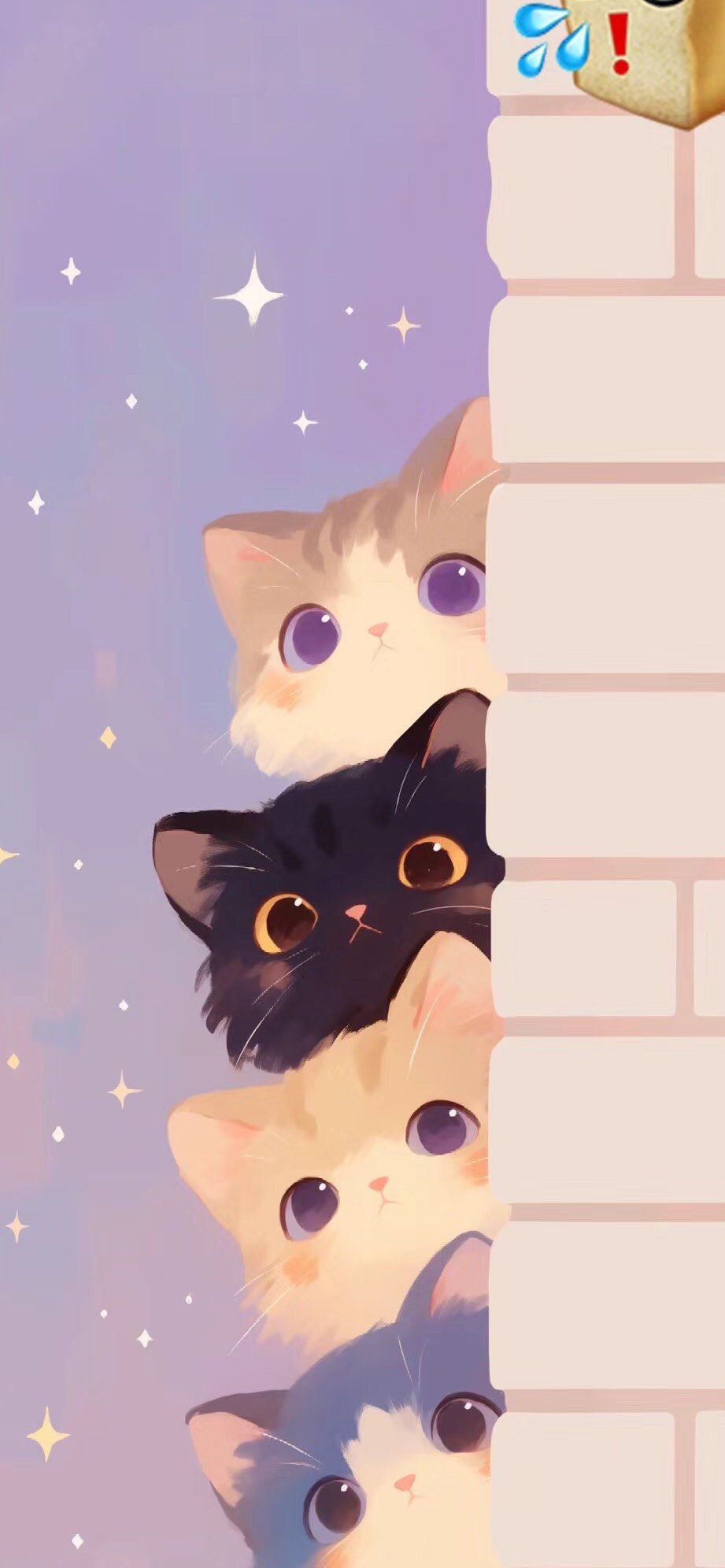 猫咪壁纸萌化心