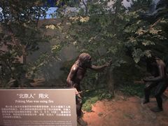 -北京周口店北京人遗址博物馆