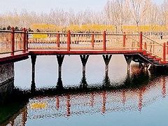 -东郊湿地公园
