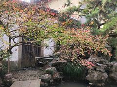 -汇龙潭