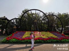 -呀路古热带植物园