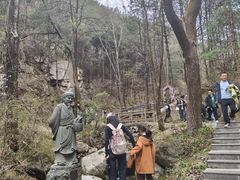 -王顺山国家森林公园