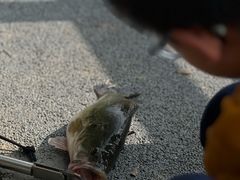 -宁波富邦荪湖山庄