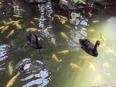 -南宫五洲植物乐园