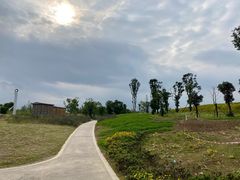 -白鹭湾湿地公园