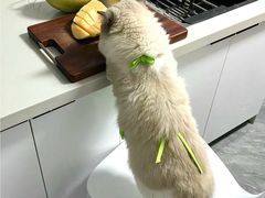 -麦德龙(十里河店)