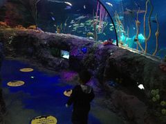 -沈阳海洋探索中心