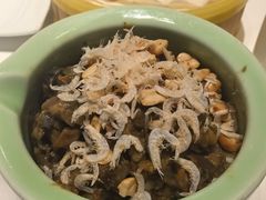 -金春禧(英雄山路旗舰店)