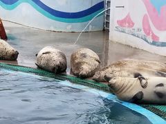 -北戴河圣蓝海洋公园