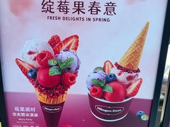 -哈根达斯(西安高新店)