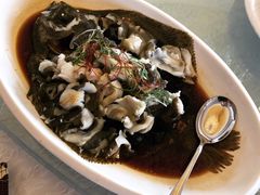 清蒸多宝鱼-皇朝海鲜酒店