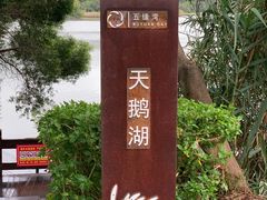 -五缘湾湿地公园