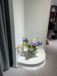 -星光兔·西扶海棠·写真馆(景德镇店)