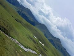 -新疆那拉提国家旅游度假区