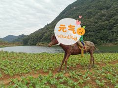 -广州市石门国家森林公园