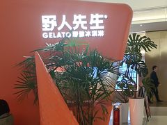 -野人先生现做冰淇淋(北京王府井东方新天地店)