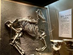 -烟台市博物馆