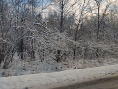 -长白山红松王滑雪场