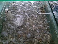 -雅逸居海鲜小厨