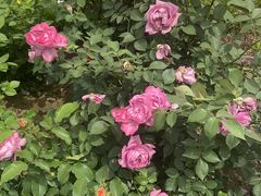 -长亭酒肆.武夷菜(鼓楼后海店)