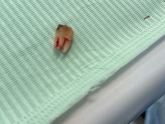 -牙博士口腔品牌连锁(杨浦店)