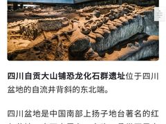 -自贡恐龙博物馆