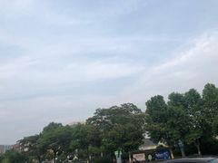 -Tiffany & Co.蒂芙尼
(南京德基广场店)