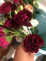 点击看大图 -Oasis Beauty水磨坊科技美肤中心