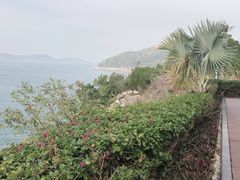 -东澳岛