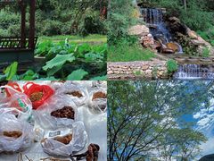 -大连天门山国家森林公园