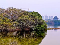 -海珠湖公园