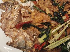 -Aqua Oasis 水天堂(常熟永旺店)