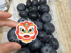 -麦德龙(浦东店)