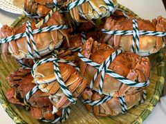 -蟹天蟹地农家菜·阳澄湖大闸蟹(浅水湾店)