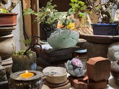 -樹下遇见树·咖啡