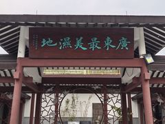 -大湾区中央湿地公园