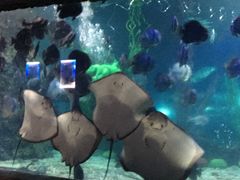 -南昌海洋公园