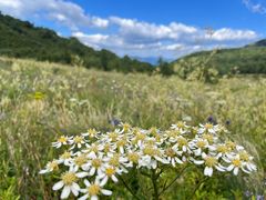 -白草畔自然风景区