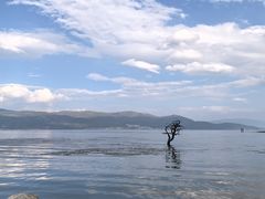 -大理洱海