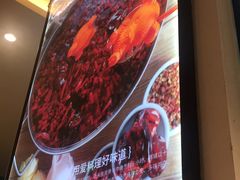-青瓷火锅料理(西单大悦城店)