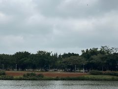 -万绿园