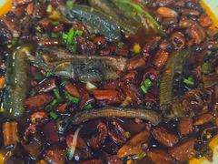 -双流老字号董蹄花(广场路店)